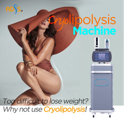 360 Cryolipolysis স্লিমিং মেশিন 3000W ভ্যাকুয়াম ক্যাভিটেশন মেশিন 4 হ্যান্ডেল সহ